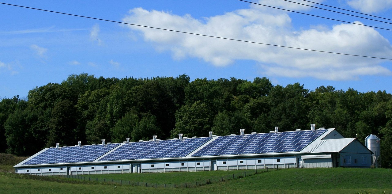 solar power, sun, barn, power, energy, electricity, alternative, panel, nature, environment, technology, renewable, ecology, sunlight, clean, electrical, cell, ecological, generator, roof, sustainable, equipment, resource, science, natural, economy, save, fuel, voltage, home, generate, battery, blue home, blue technology, blue sun, blue science, blue energy, blue economy, blue power, blue clean